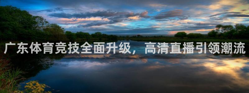 广东体育竞技全面升级，高清直播引领潮流
