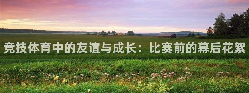 竞技体育中的友谊与成长：比赛前的幕后花絮