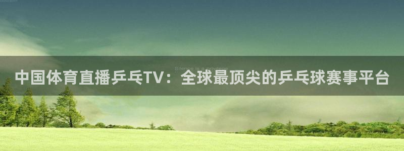 中国体育直播乒乓TV：全球最顶尖的乒乓球赛事平台