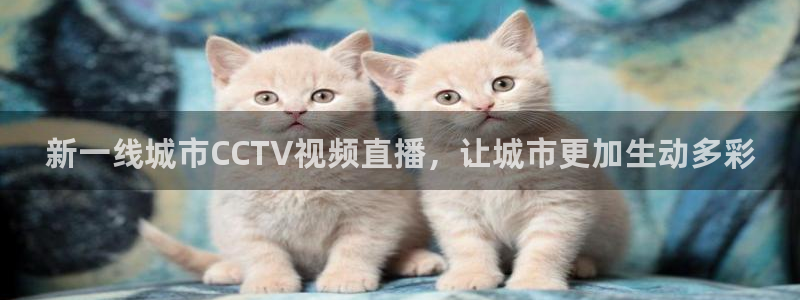 新一线城市CCTV视频直播，让城市更加生动多彩