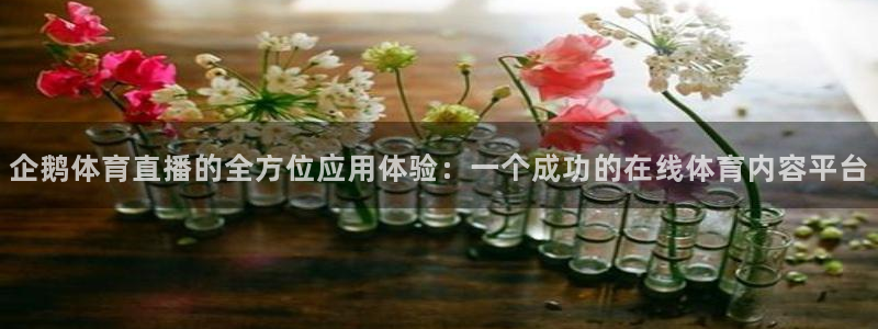企鹅体育直播的全方位应用体验：一个成功的在线体育内容平台