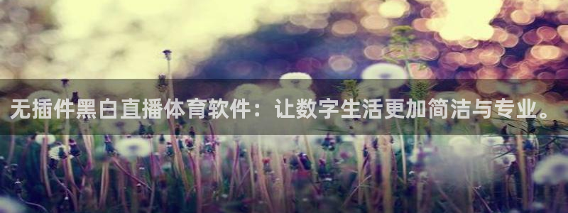 无插件黑白直播体育软件：让数字生活更加简洁与专业。