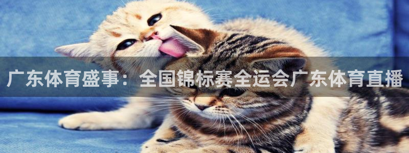 广东体育盛事：全国锦标赛全运会广东体育直播