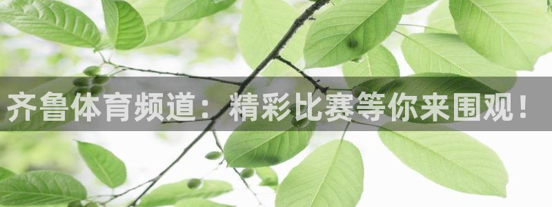 齐鲁体育频道：精彩比赛等你来围观！