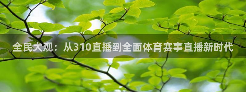 全民大观：从310直播到全面体育赛事直播新时代