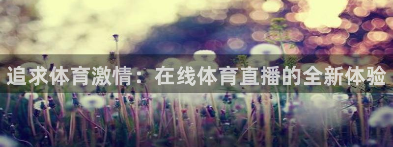 追求体育激情：在线体育直播的全新体验