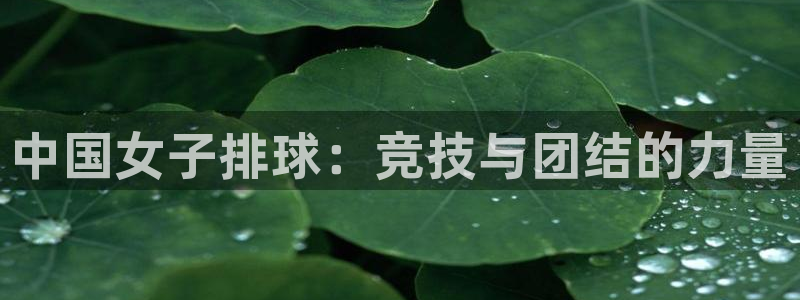 中国女子排球：竞技与团结的力量